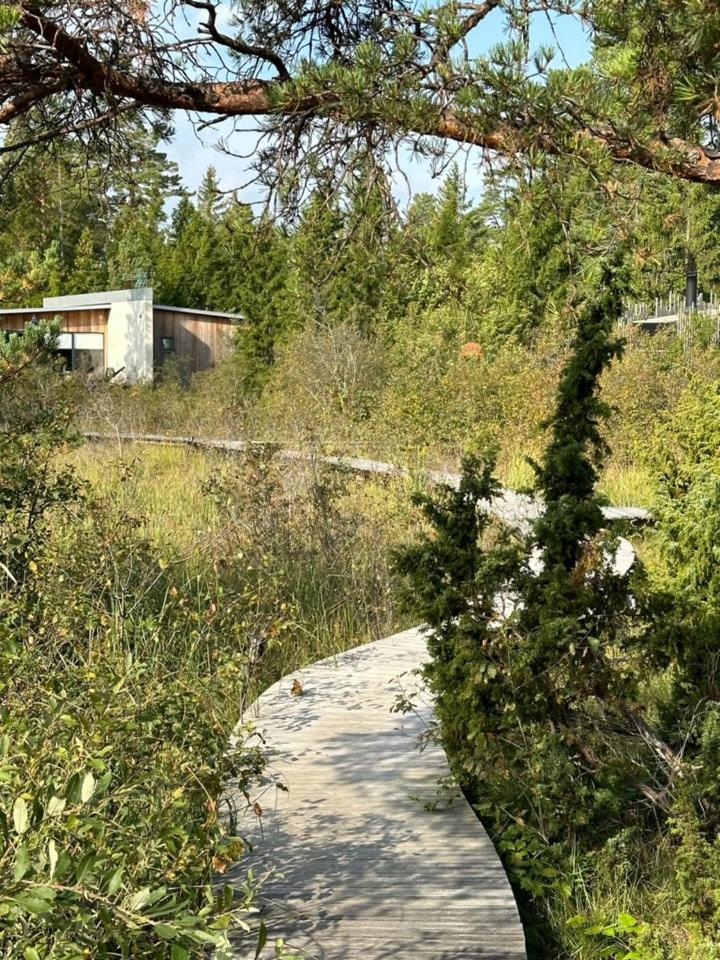 Maven Kustnaera Stugor Kappelshamn Εξωτερικό φωτογραφία